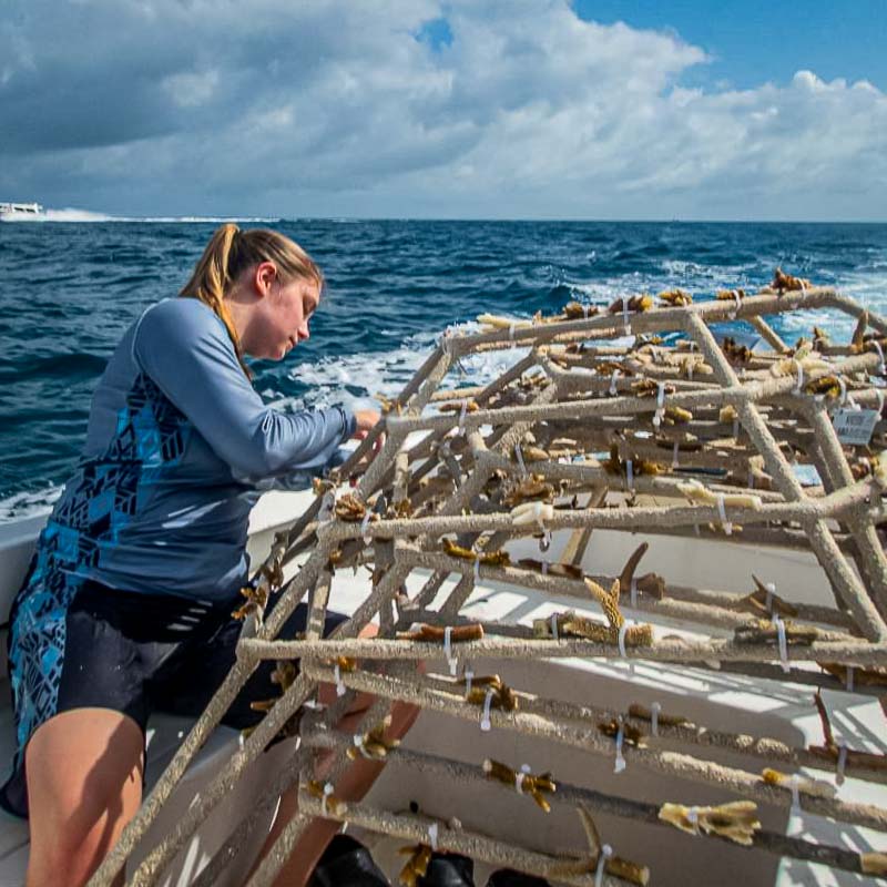 Pristine Beaches and Marine Adventures