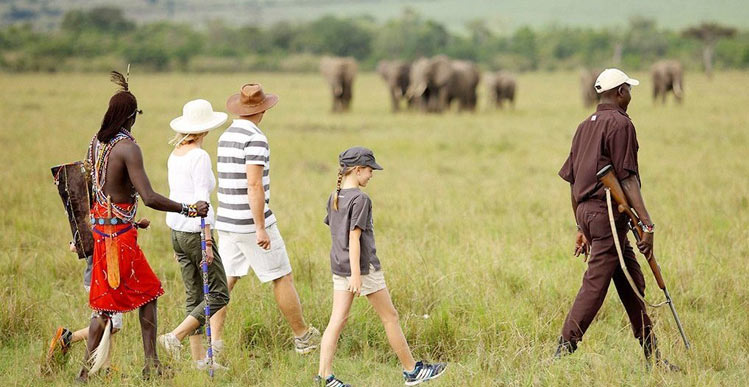 Walking Safari